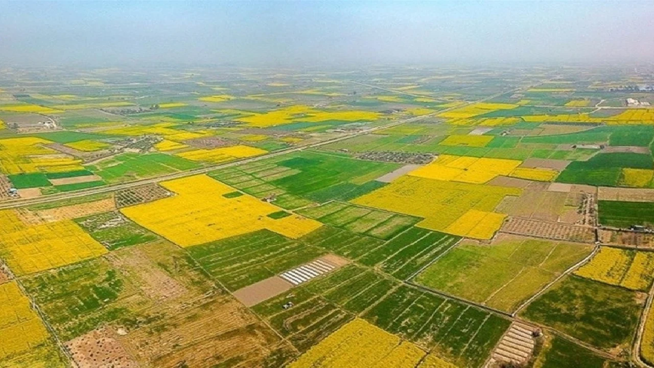 36- مدعی مالکیت اراضی بزرگ کشاورزی بیش از50 هکتار