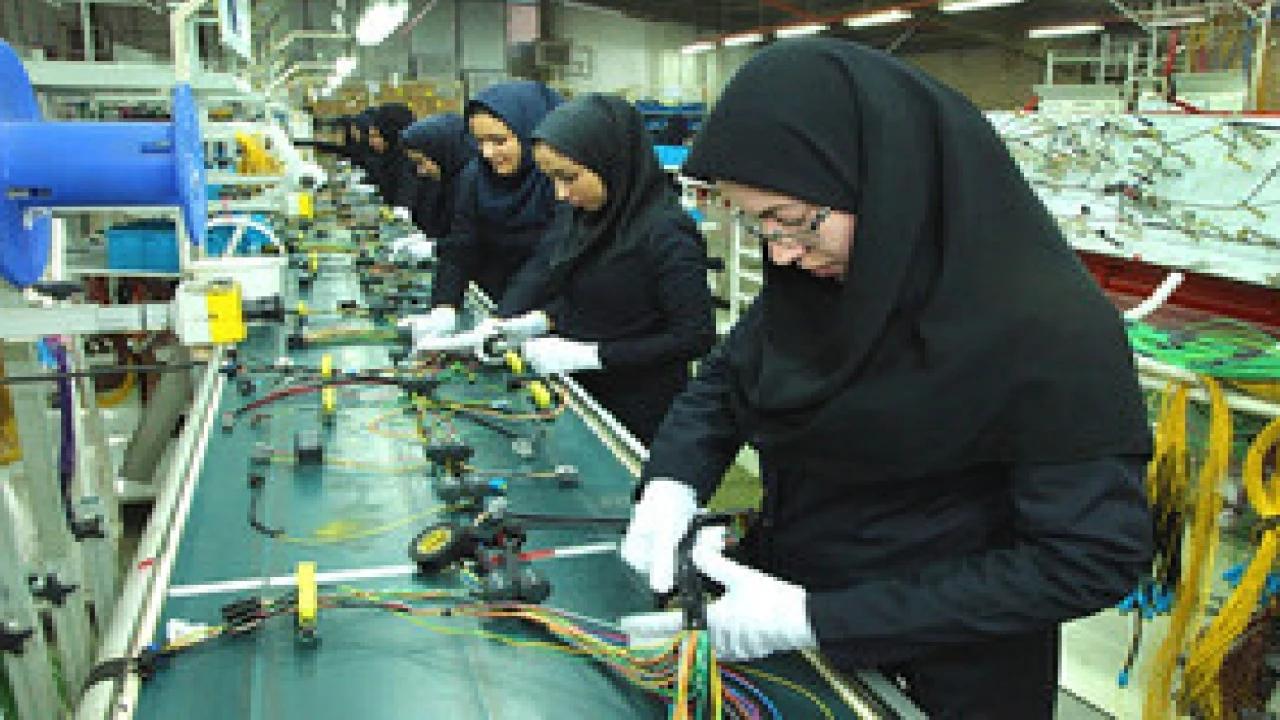 زنان شاغل و تامین هزینه های زندگی