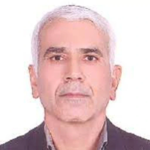 سید محمد موسوی