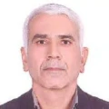 سید محمد موسوی
