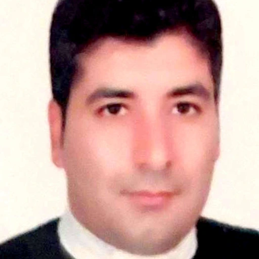 هادي مینایی