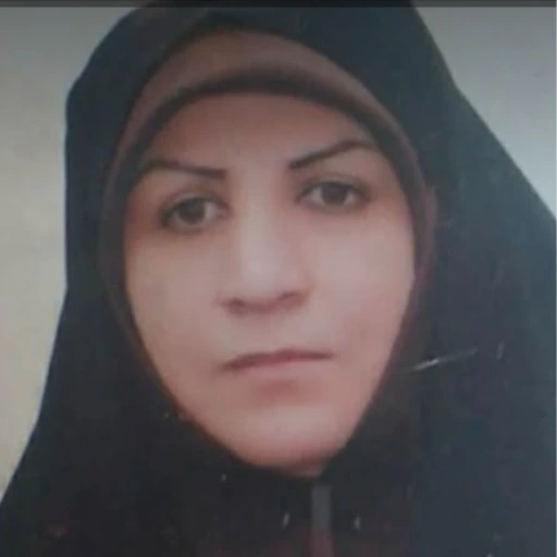 زیبا شاه منصوری محمدی